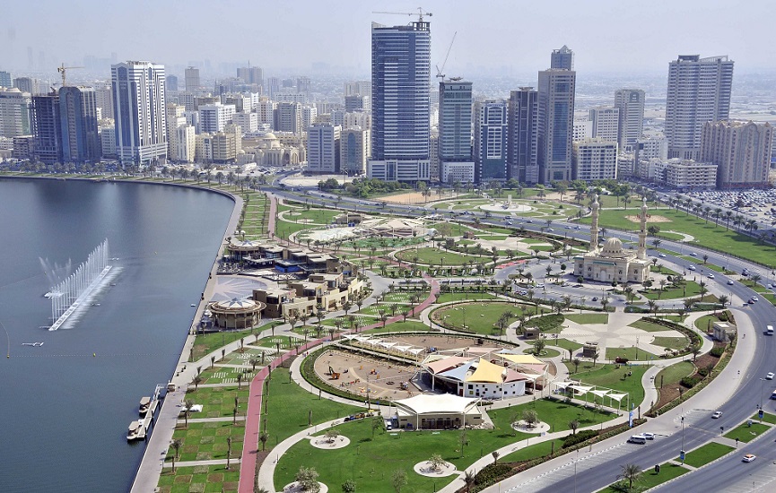 Why Choose DMCC
